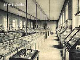 Museum und Forschungssammlung. Die neu aufgestellte geologische Hauptsammlung um 1900.
