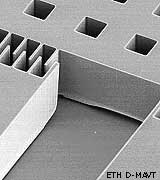 Fig. 2: Photolithographisch hergestellter Kraftsensor Dicke ca. 50 Mikrometer